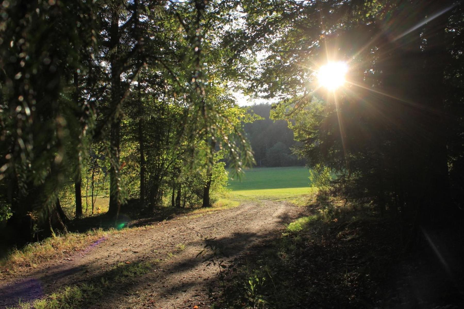 Ferienhof Aiginger Grafenau  Exteriör bild